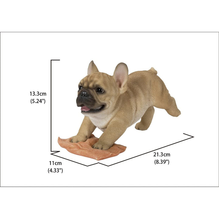 French Bulldog Mopping The Floor Ultra Realistic Garden Statue Multi Color - Diamond Home USA