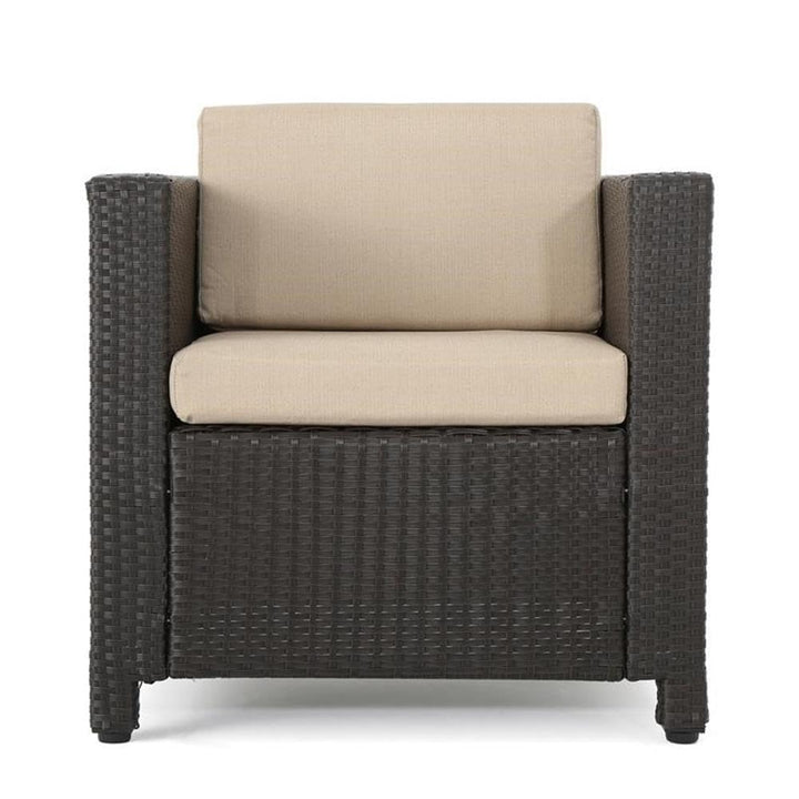 Christopher Knight Home Puerta Outdoor Wicker Club Chair with Water Resistant Dark