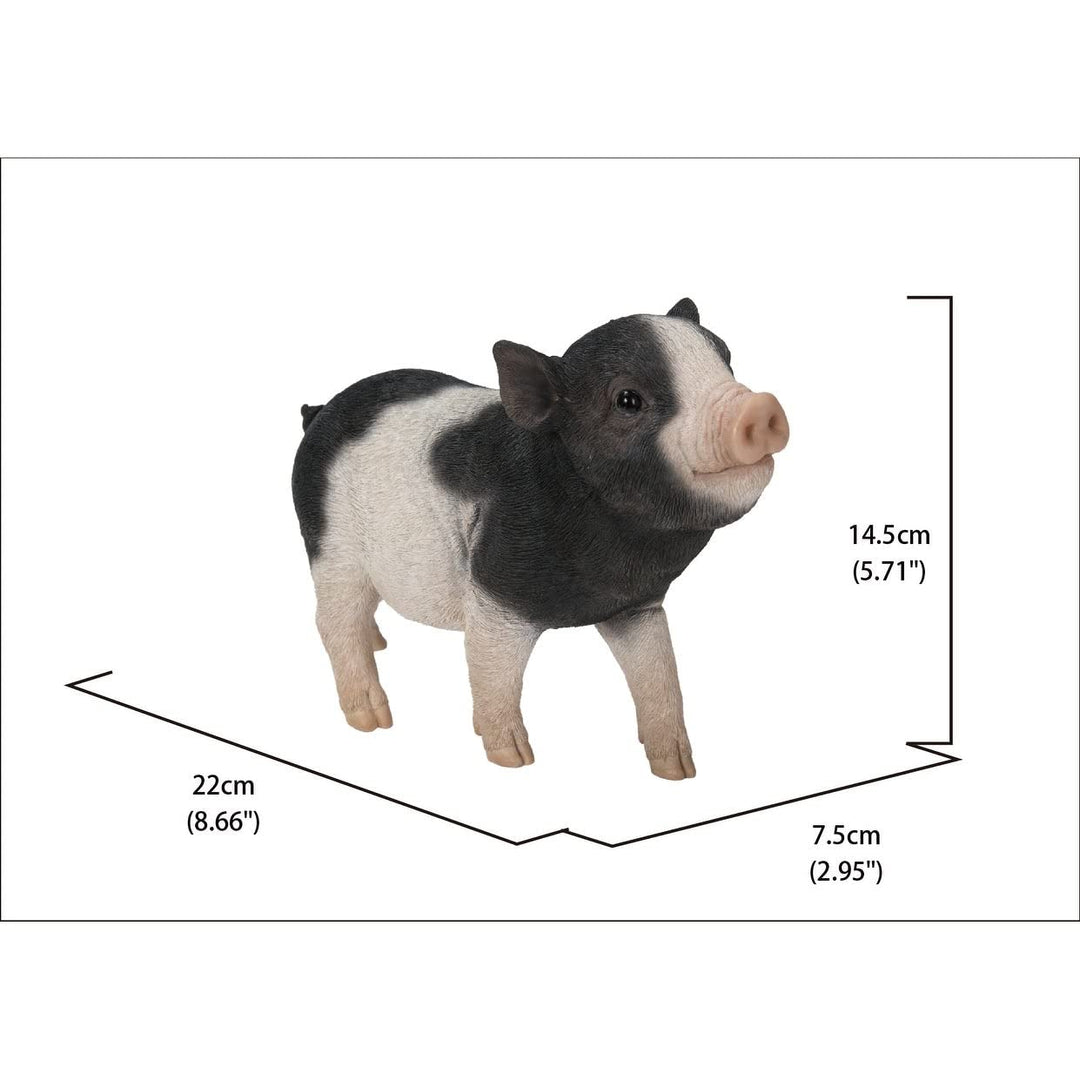Baby Pig Standing Black and White Ultra Realistic Garden Statue Multi Color - Diamond Home USA