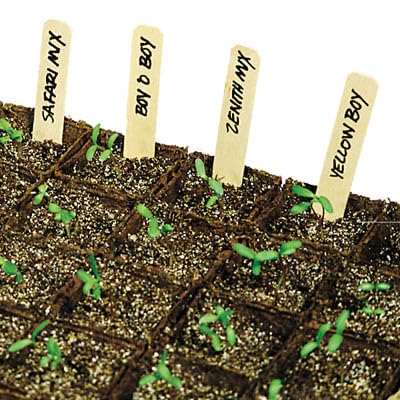 DP INDUSTRIES Bulk Plain Wood Plant Labels 4" L x 5/8" W Package of 1 000 - Diamond Home USA