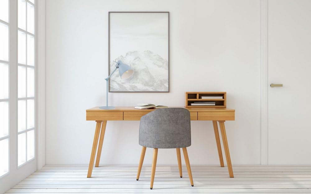 EGLO 204085A Priddy 17 inch esk Lamp Plug-in Lighting for Living Room Bedroom - Diamond Home USA