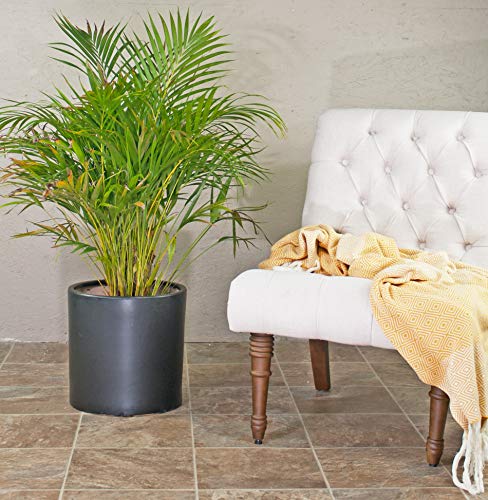 UPSHINING Large Ceramic Cylinder Pot/Mid Century Modern Planter Black 13'' - Diamond Home USA