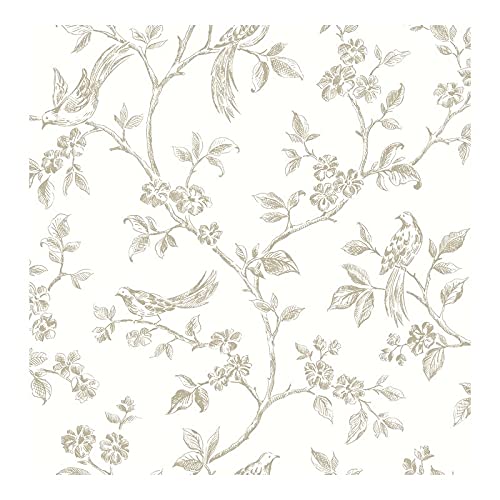 Taupe Bird Trail Wallpaper 20.5 X Nature Modern Contemporary Wildlife Washable