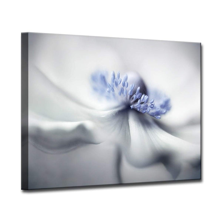Ready2HangArt Anemone Spirit' Floral Wrapped Canvas Wall Art Overall Size: 30 - Diamond Home USA