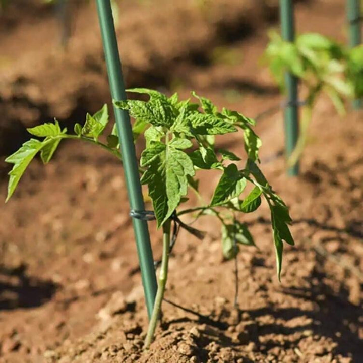 Plant Stakes Pack of 50 5/16 in.6 Ft.Dark Green 6ft - Diamond Home USA