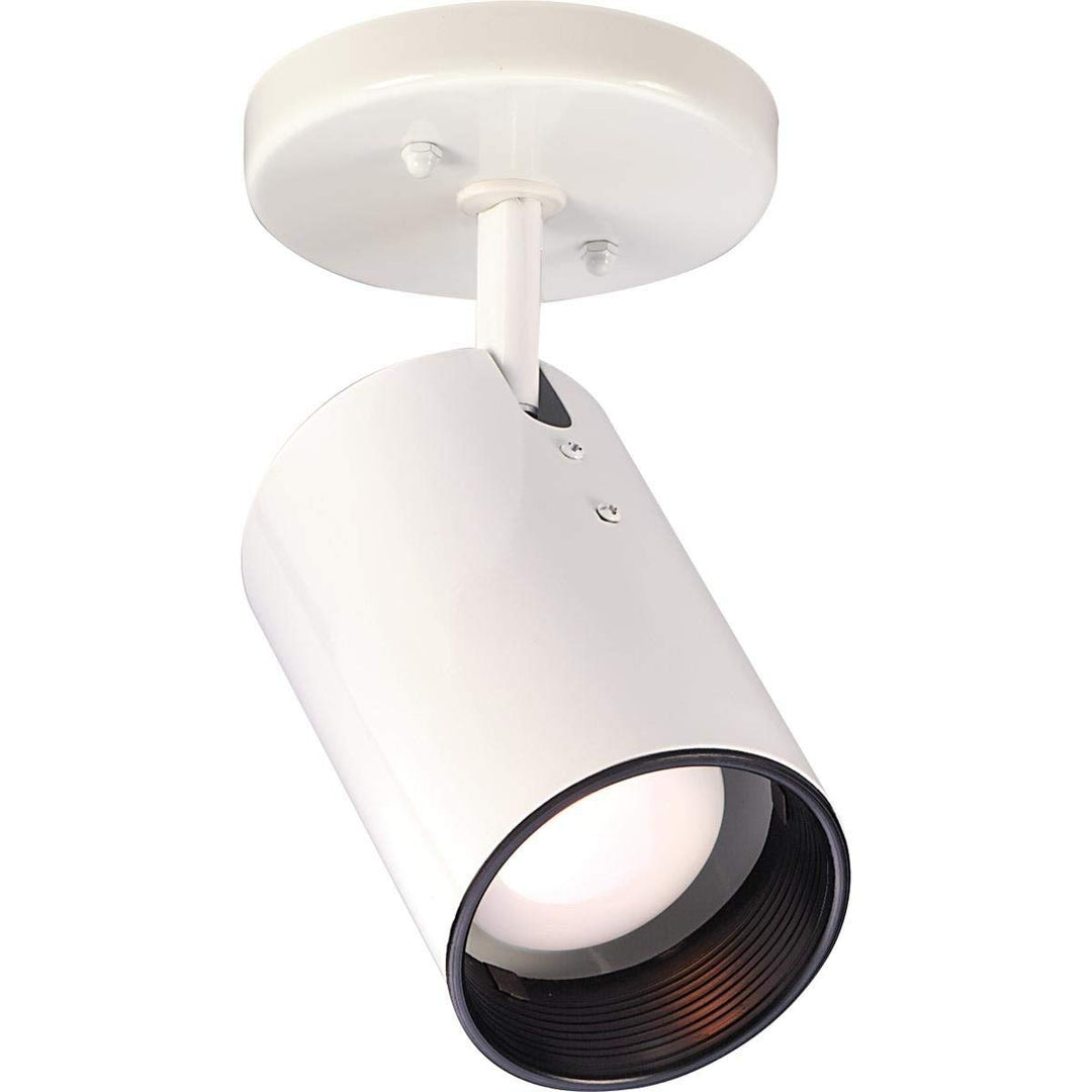 1-Light R20 Straight Cylinder Fix White Traditional Metal Dimmable