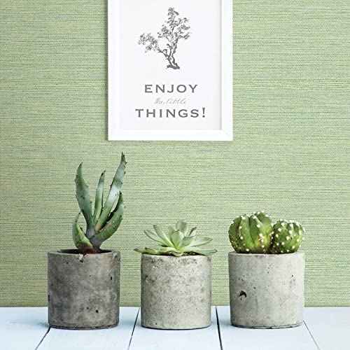 Green Grasscloth Wallpaper 20.5in X Abstract Modern Contemporary Paper Washable - Diamond Home USA