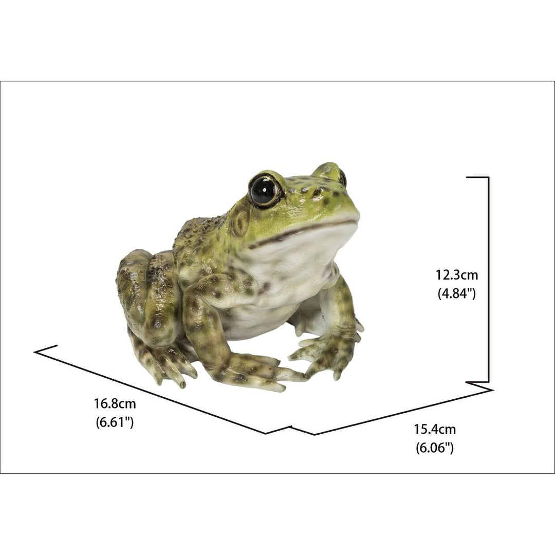 American Bullfrog Ultra Realistic Garden Statue Multi Color Polyresin - Diamond Home USA