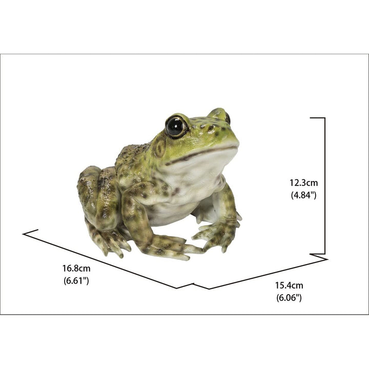 American Bullfrog Ultra Realistic Garden Statue Multi Color Polyresin - Diamond Home USA