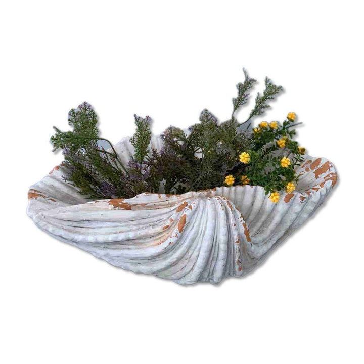6" Distressed Cream and Scallop Shell Planter Medium Off/White Resin