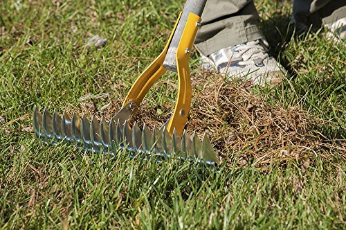 The AMES Companies 2914000 True Temper Thatch Rake - 15" Brown - Diamond Home USA