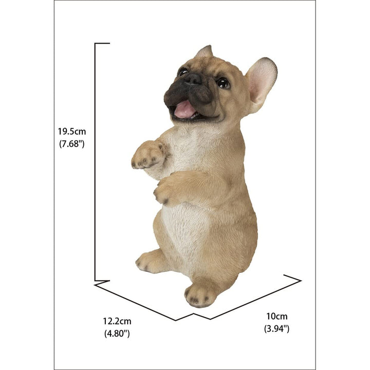 Standing French Bulldog Ultra Realistic Garden Statue Multi Color Polyresin - Diamond Home USA