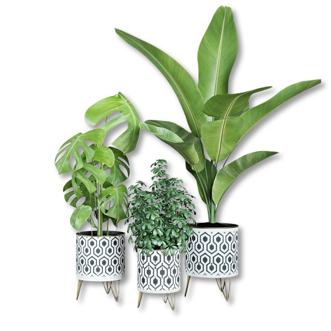 Andrey Metal Indoor Planter Set of 3 Bohemian Style Black & White Plant Pots