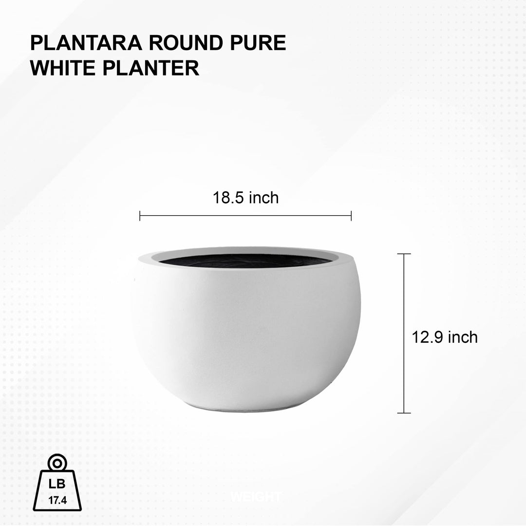 PLANTARA Round Concrete/Fiberglass Indoor & Outdoor Lightweight Decorative Plant - Diamond Home USA
