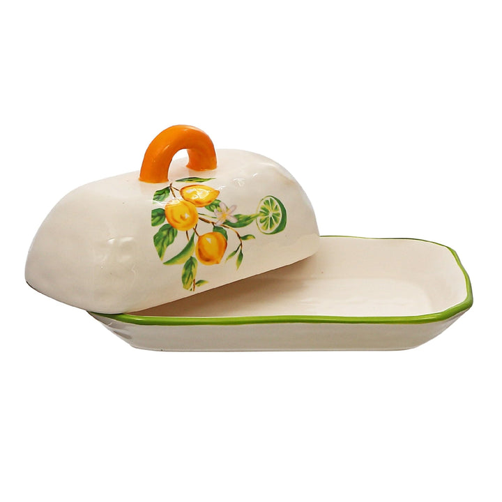 Ceramic Lemon Butter Dish with Lid Multi Color Rectangle - Diamond Home USA