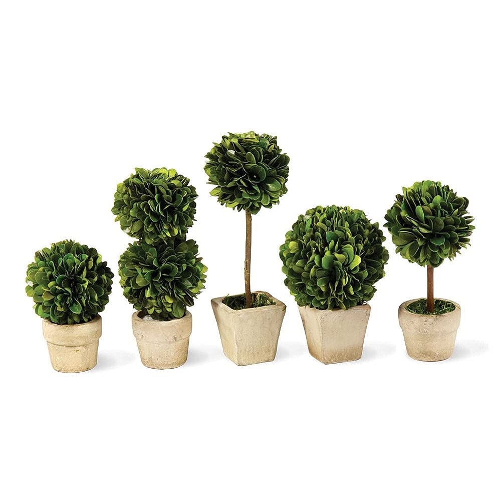 Boxwood Mini Topiaries in Pots Set of 5 Green