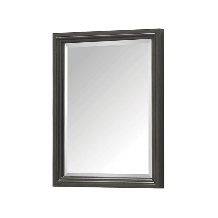 Avanity Thompson 24 in. Mirror in Charcoal Glaze finish - Diamond Home USA