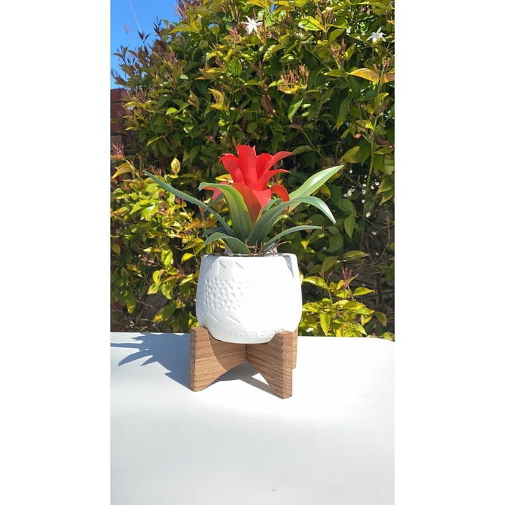 Flora Bunda 3.5 Inch Caveman Ceramic on Stand Mid Century Matte Black 3.5" - Diamond Home USA