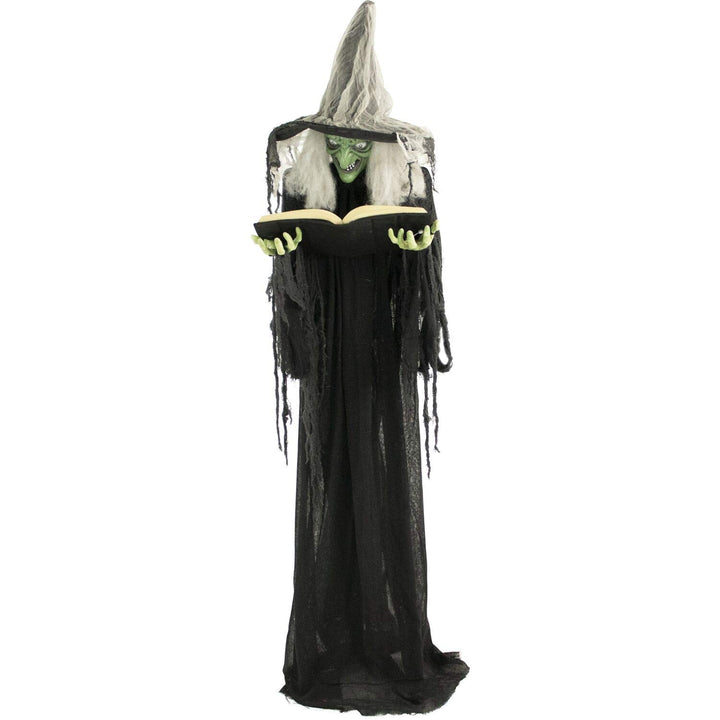 Haunted Hill Farm 72" Standing Witch with Book Animatronic