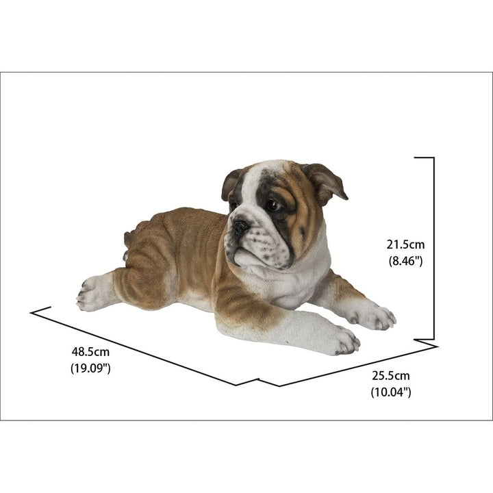 Lying Bulldog Pup Ultra Realistic Garden Statue Multi Color Polyresin - Diamond Home USA