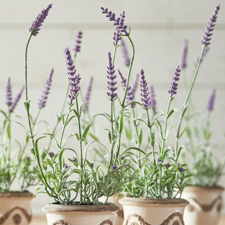 French Lavender Drop-in 13" Set of 6 Purple - Diamond Home USA