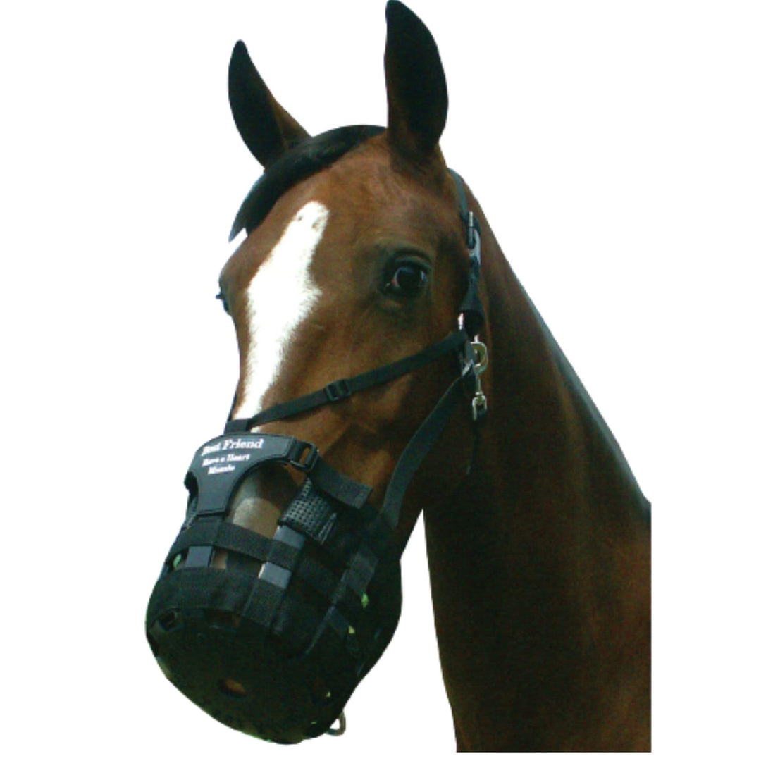 Best Friend Deluxe Have a Heart Grazing Muzzle for Horses - Heart Shaped - Diamond Home USA