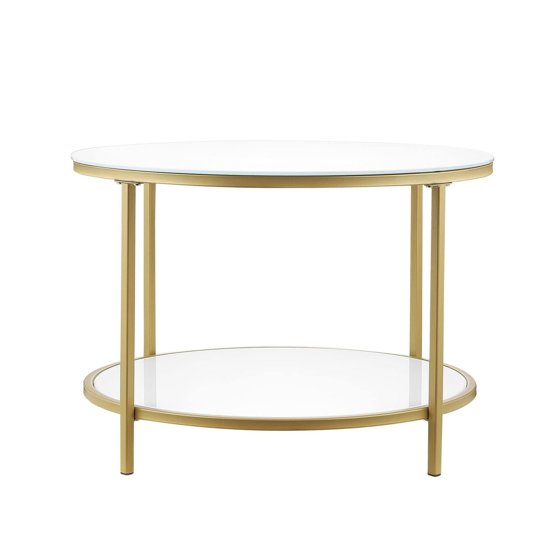 Modern Round 2-Tier Glass Coffee Table with Storage Shelf Gold Contemporary - Diamond Home USA