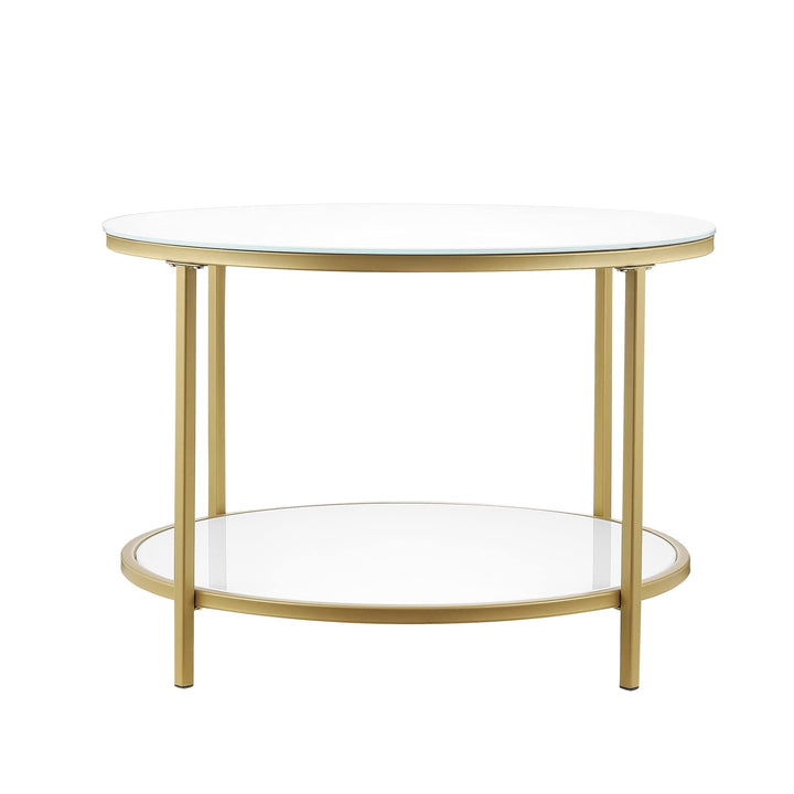 Modern Round 2-Tier Glass Coffee Table with Storage Shelf Gold Contemporary - Diamond Home USA