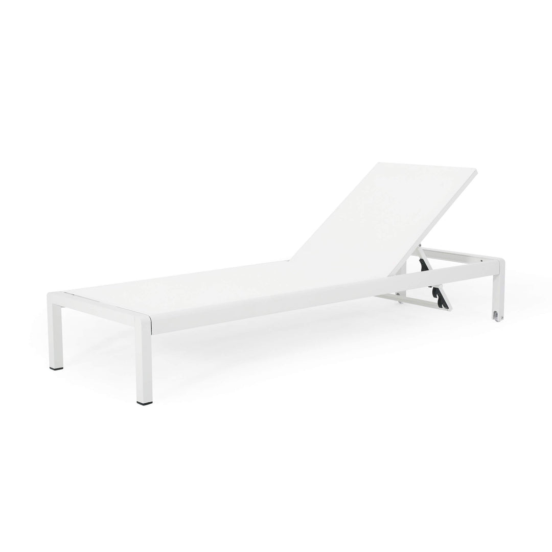 Christopher Knight Home Cynthia Outdoor Chaise Lounge (Set of 2) White. - Diamond Home USA