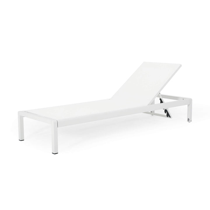 Christopher Knight Home Cynthia Outdoor Chaise Lounge (Set of 2) White. - Diamond Home USA