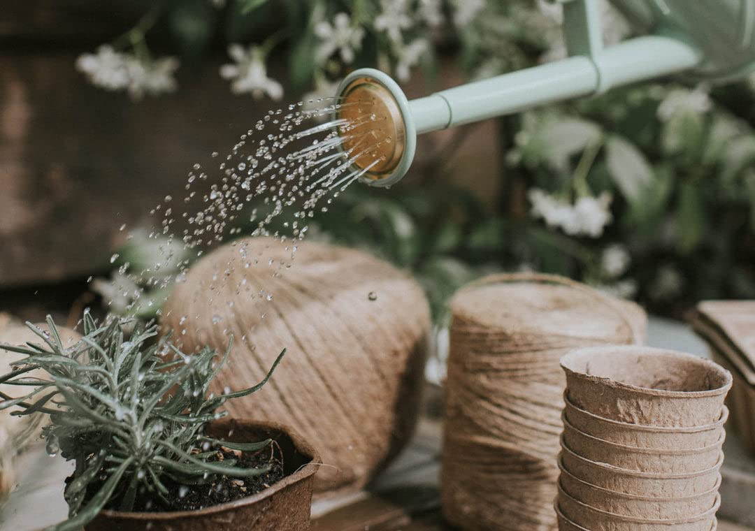 Indoor Plastic Watering Can|The HAWS The Bartley Burbler - Two Pint|Pot - Diamond Home USA