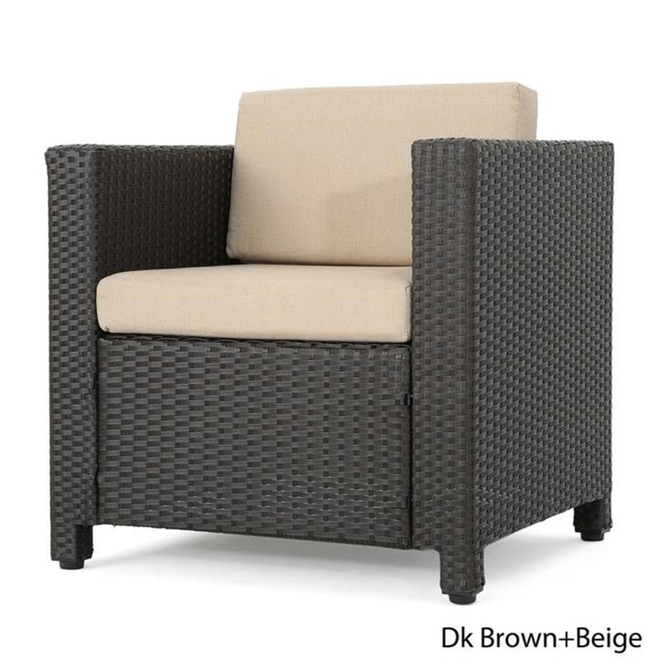 Christopher Knight Home Puerta Outdoor Wicker Club Chair with Water Resistant Dark