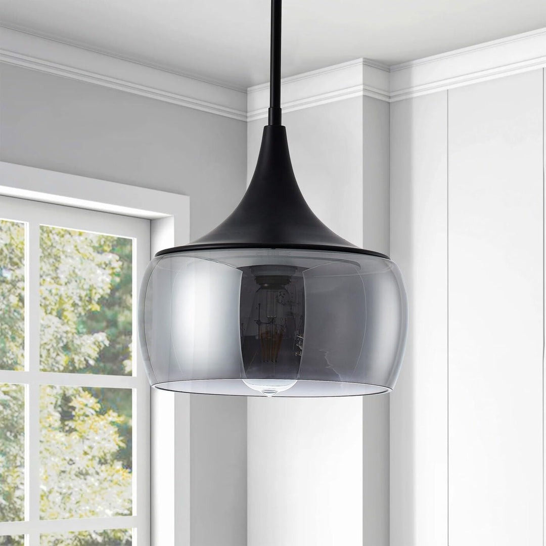 Matte Black 1-light Dome Light with Smoke Grey Glass Shade Modern Contemporary - Diamond Home USA