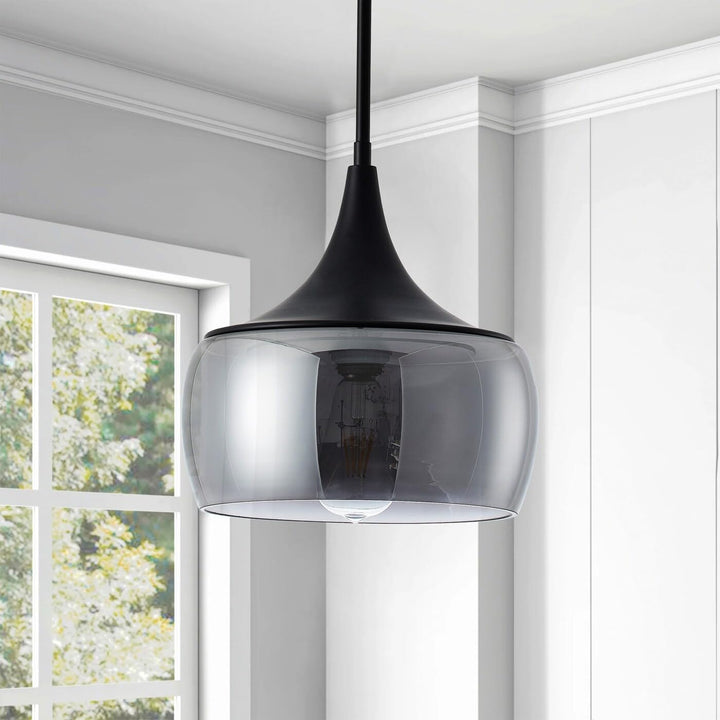 Matte Black 1-light Dome Light with Smoke Grey Glass Shade Modern Contemporary - Diamond Home USA