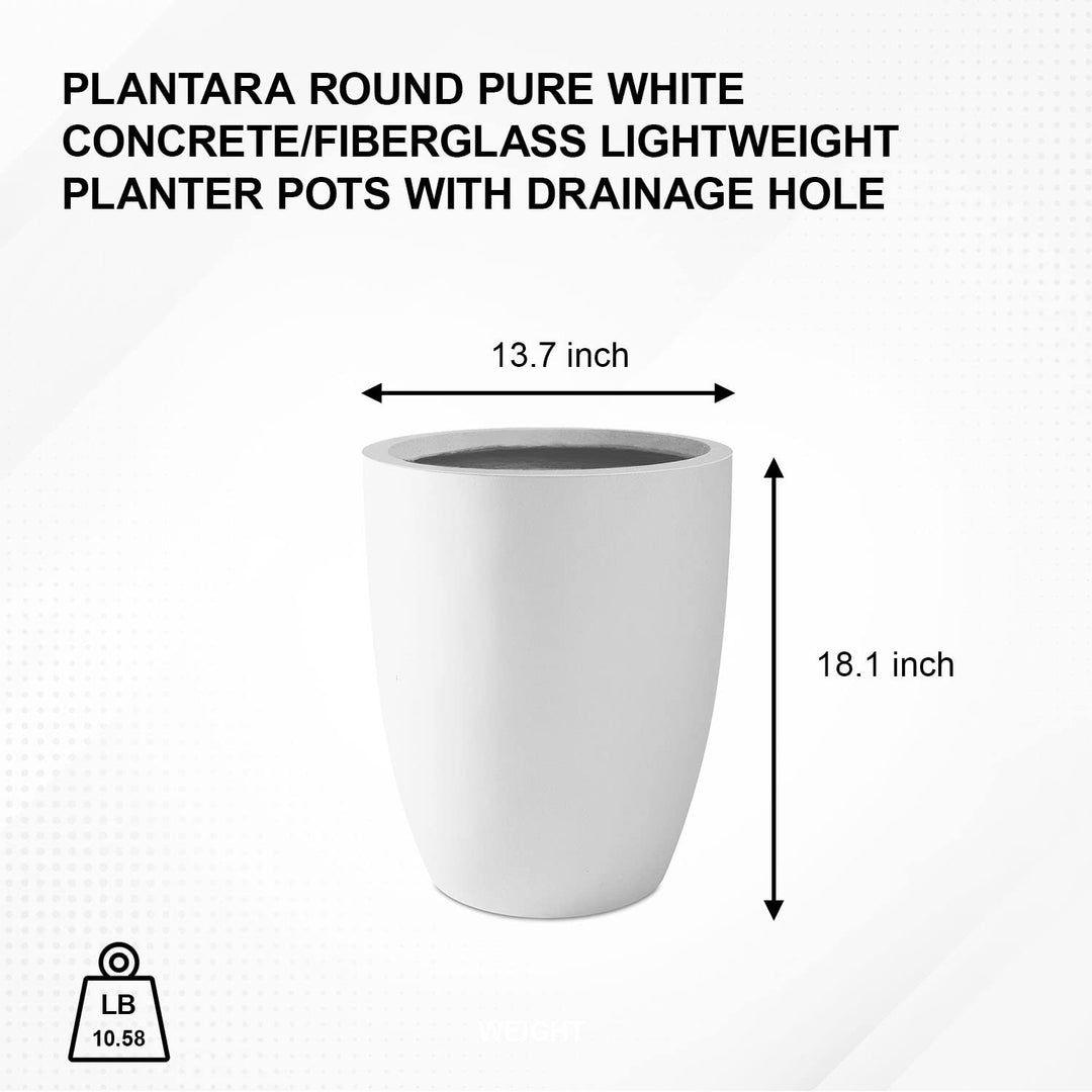 PLANTARA Round Concrete/Fiberglass Indoor & Outdoor Lightweight Decorative Plant - Diamond Home USA