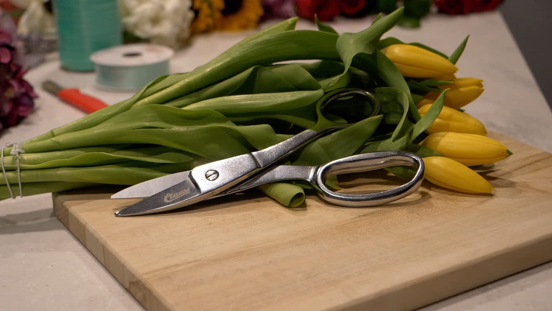 Clauss 11113 7.75-Inch Straight Hot Forged Shears with One Serrated Blade - Diamond Home USA