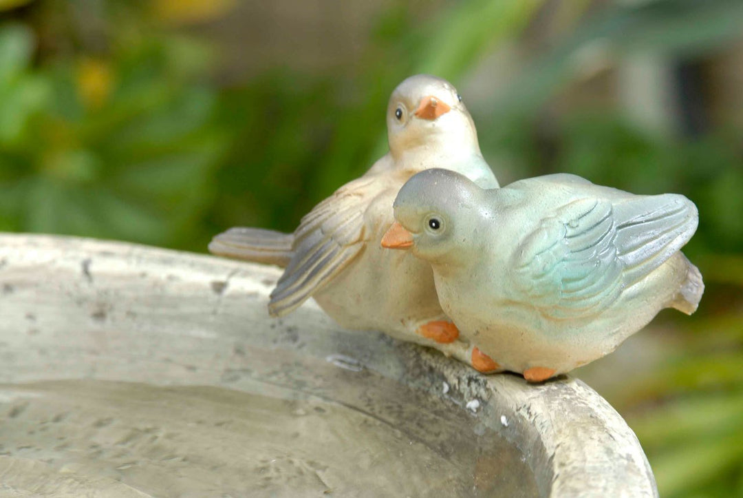 Jeco Versando Bird Bath Outdoor Water Fountain - Diamond Home USA