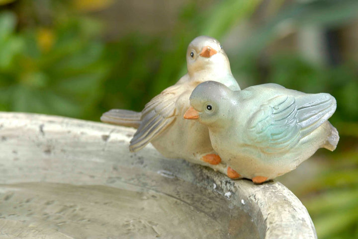 Jeco Versando Bird Bath Outdoor Water Fountain - Diamond Home USA