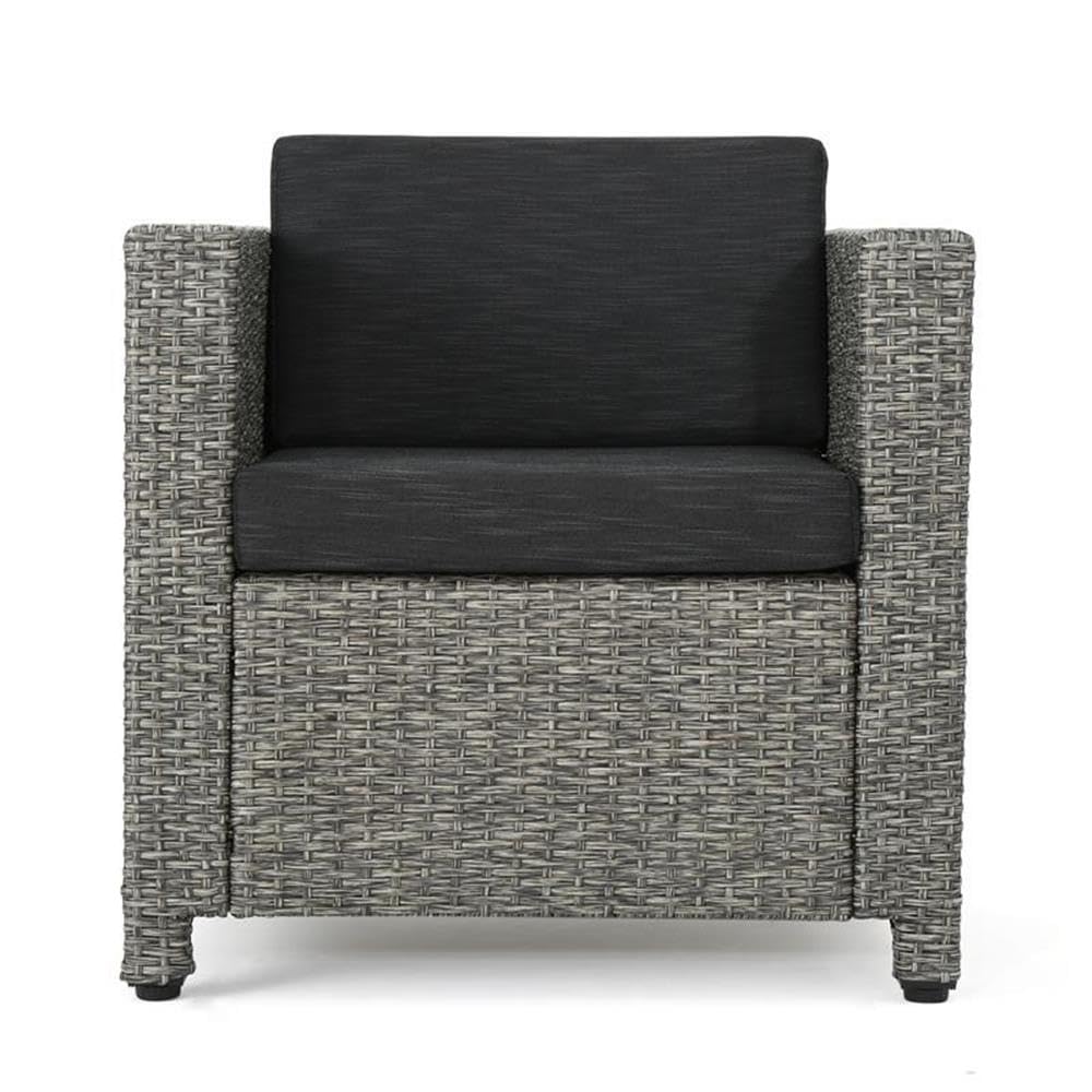 Christopher Knight Home Puerta Outdoor Wicker Club Chair with Water Resistant Dark