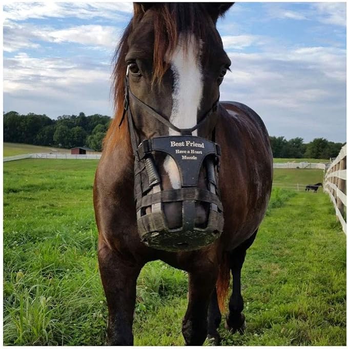 Best Friend Deluxe Have a Heart Grazing Muzzle for Horses - Heart Shaped - Diamond Home USA