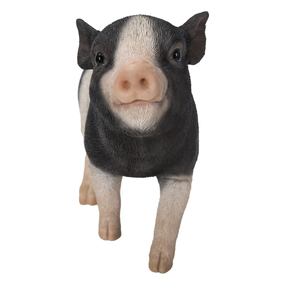 Baby Pig Standing Black and White Ultra Realistic Garden Statue Multi Color