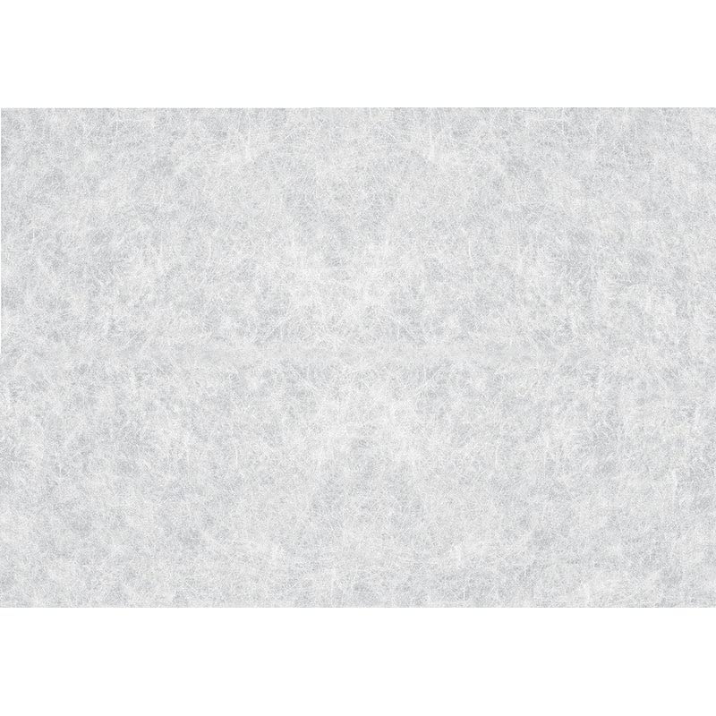 Rice Paper Window Premium Film Set of 2 Clear Transitional Removable