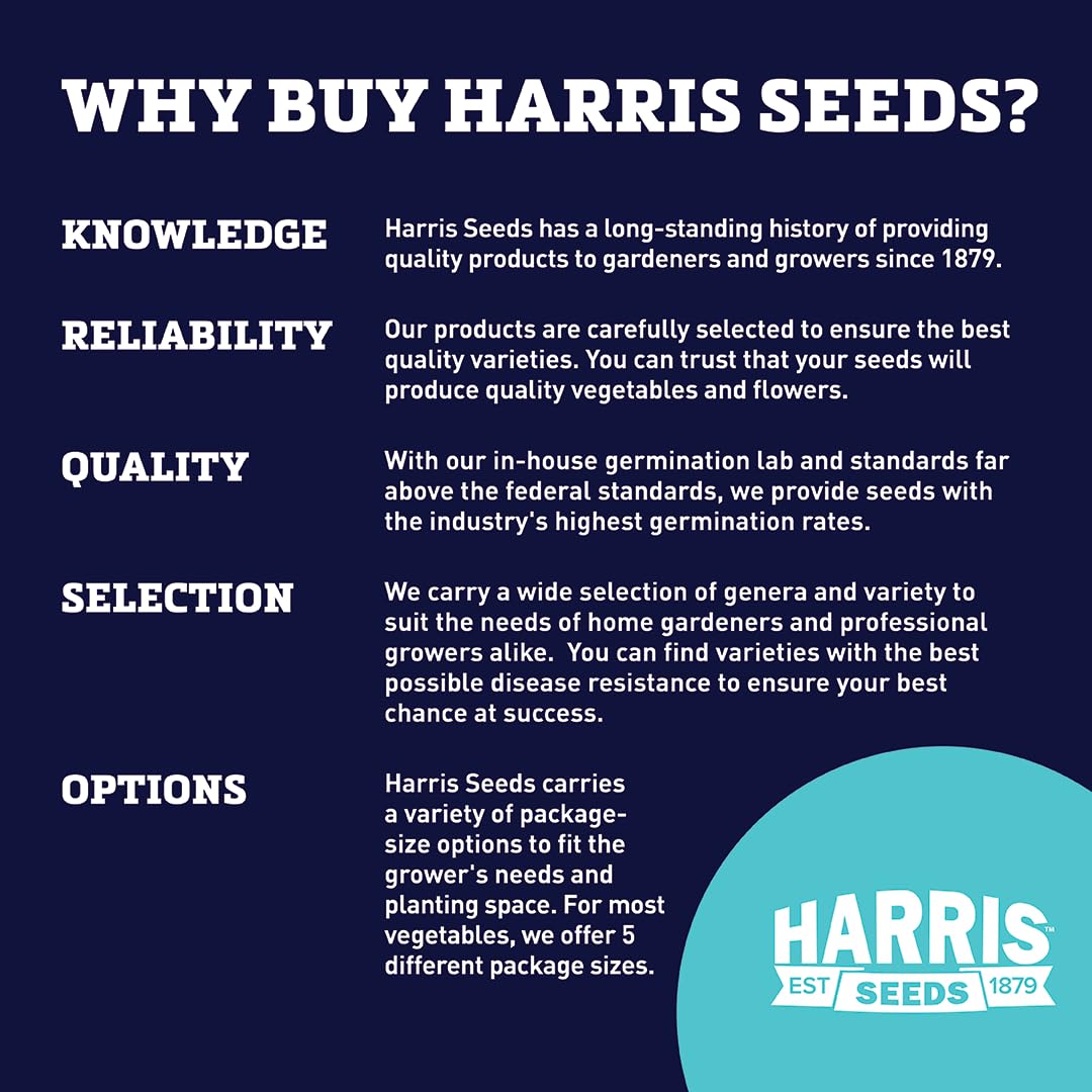 DP INDUSTRIES Bulk Plain Wood Plant Labels 4" L x 5/8" W Package of 1 000 - Diamond Home USA