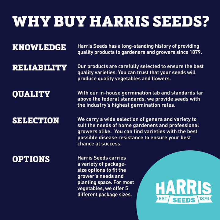 DP INDUSTRIES Bulk Plain Wood Plant Labels 4" L x 5/8" W Package of 1 000 - Diamond Home USA