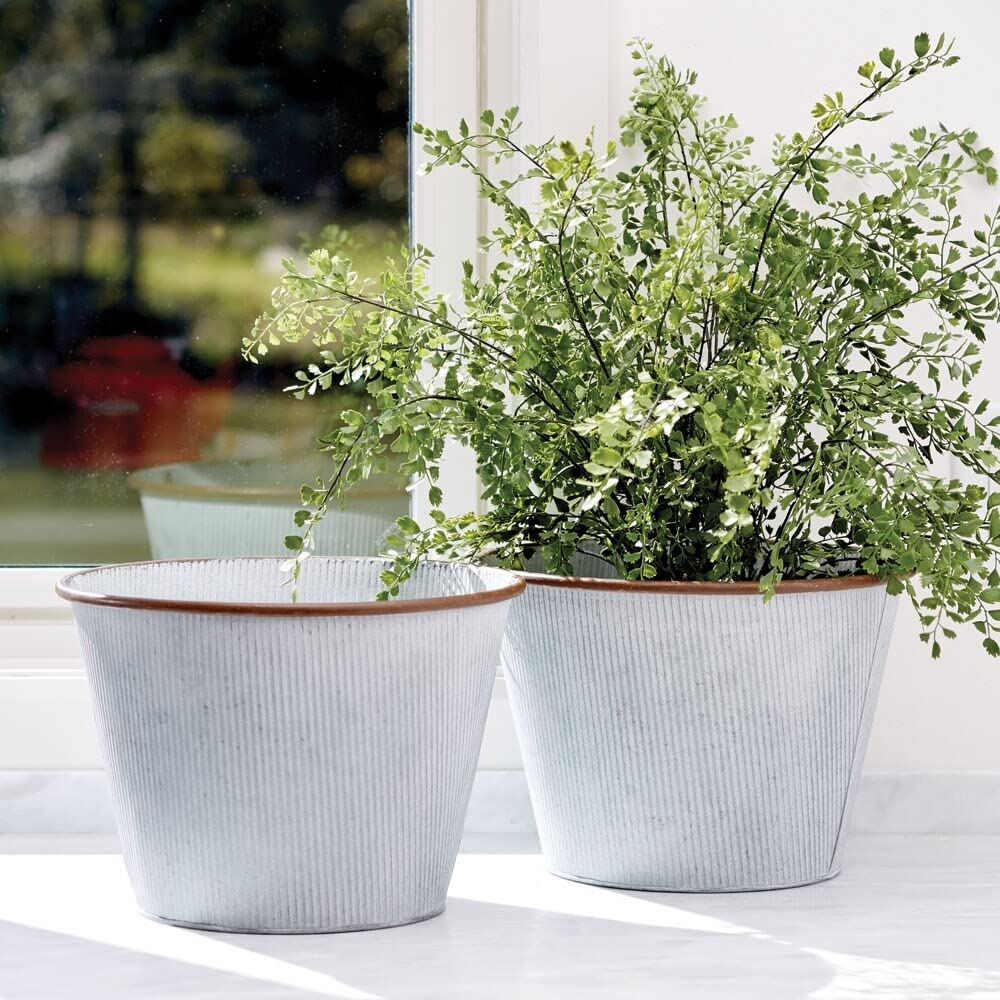 Maiden Hair Fern Drop-In Flowering Plant 23-Inch - Diamond Home USA