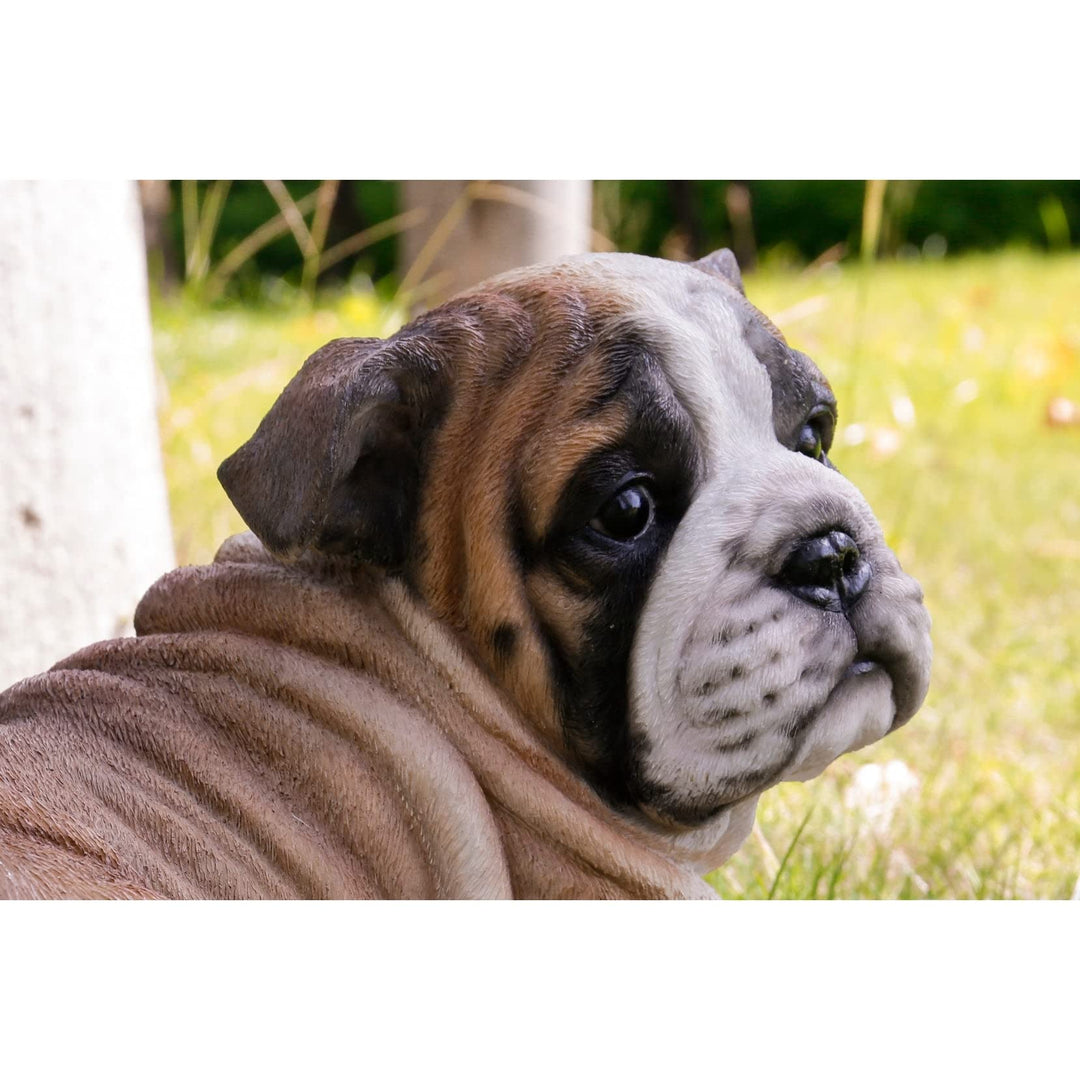 Lying Bulldog Pup Ultra Realistic Garden Statue Multi Color Polyresin - Diamond Home USA