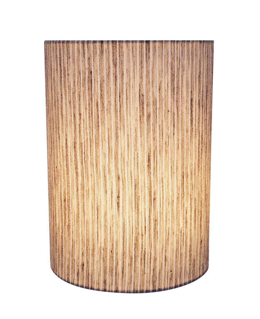 Aspen Creative 31275 Transitional Drum (Cylinder) Shape Spider Construction Lamp - Diamond Home USA