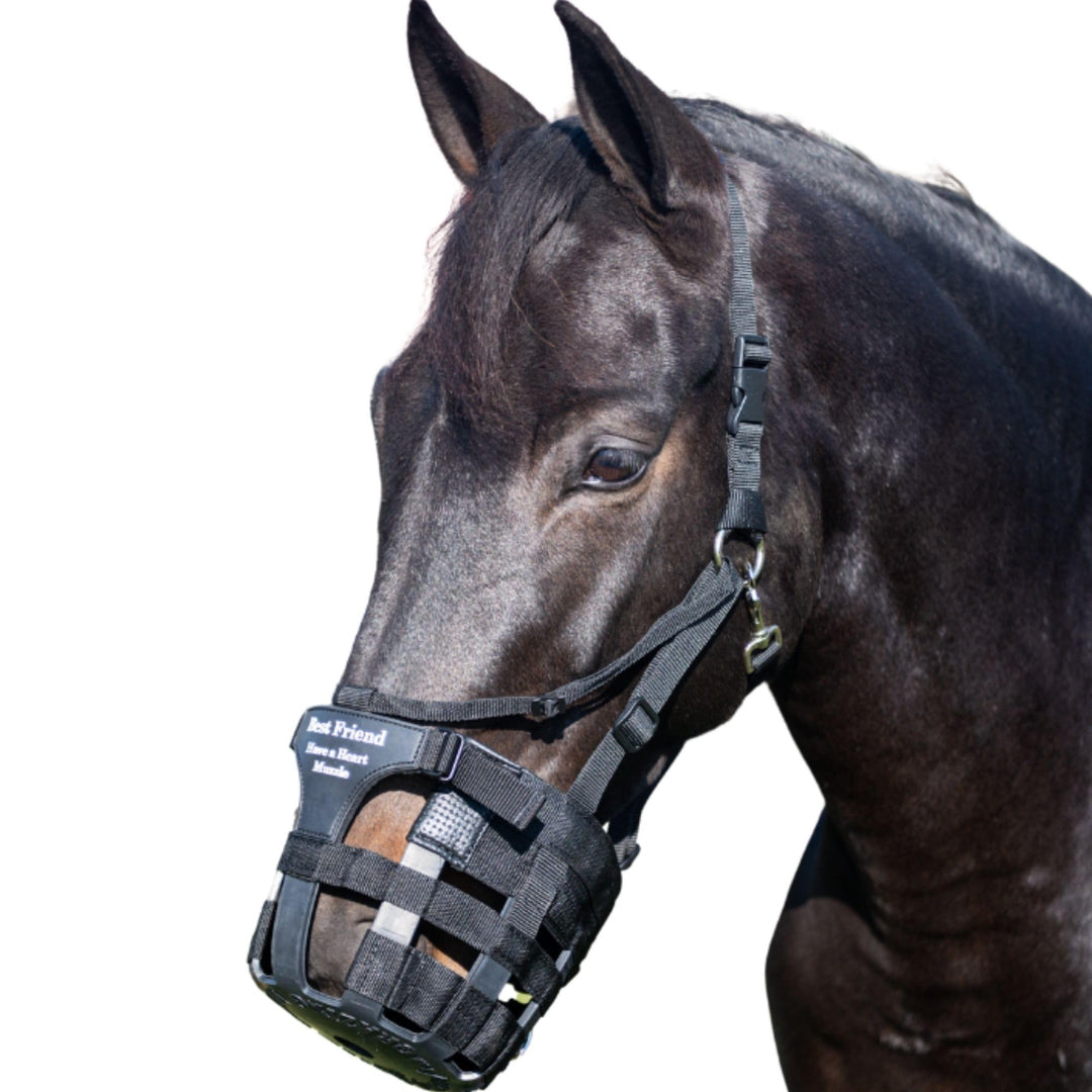 Best Friend Deluxe Have a Heart Grazing Muzzle for Horses - Heart Shaped