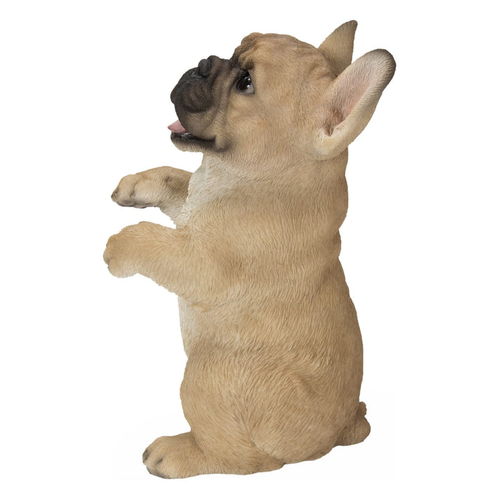 Standing French Bulldog Ultra Realistic Garden Statue Multi Color Polyresin - Diamond Home USA