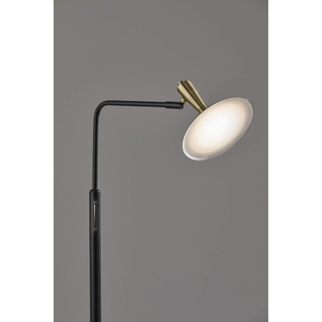 Black Antique Brass Led Floor Lamp Mid-Century Modern Contemporary - Diamond Home USA
